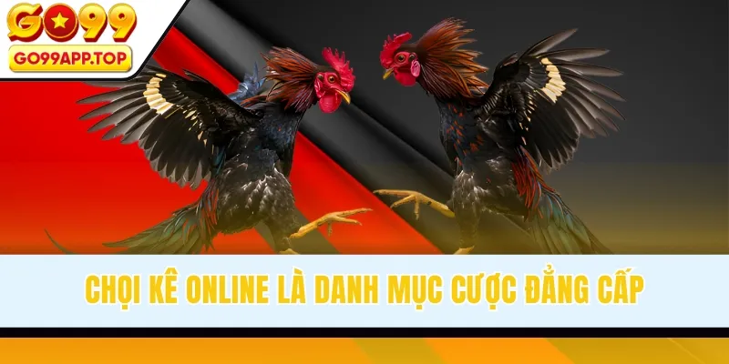 Chọi kê online là danh mục cược đẳng cấp